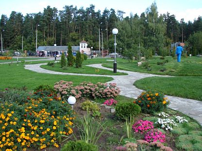 Санаторий юный нижегородец нижегородская область фото